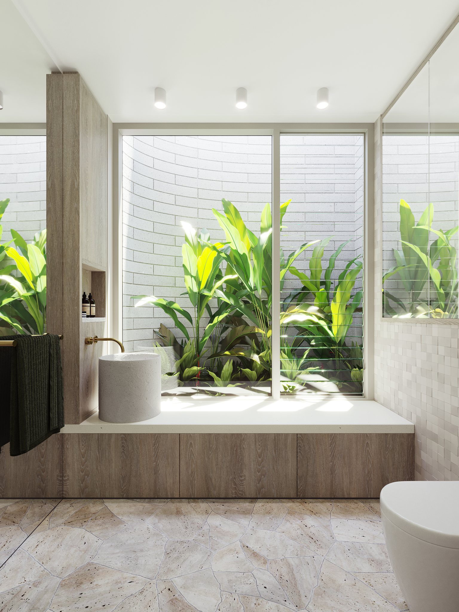 91 Griffiths Street, Fairlight, Sydney — render 2